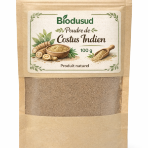 Costus Indien Bio Naturel 50g